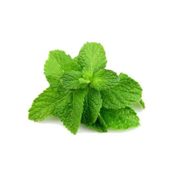 Hortela Un Alfa Verde