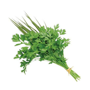 Kit Cheiro Verde Coentro/Cebolinha Un Grupo Verde