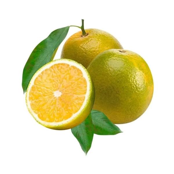 Laranja Kg Ceasa
