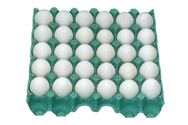 Ovos Branco Grande Com 30 Multifrios