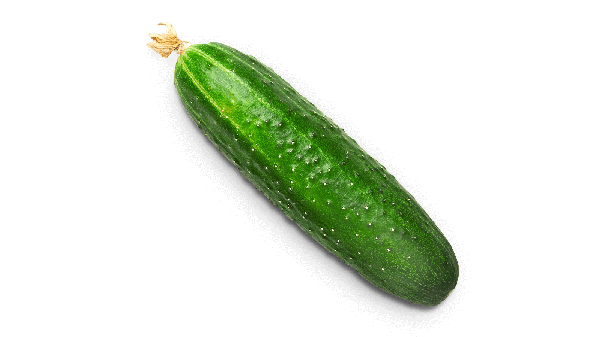 Pepino Organico Kg