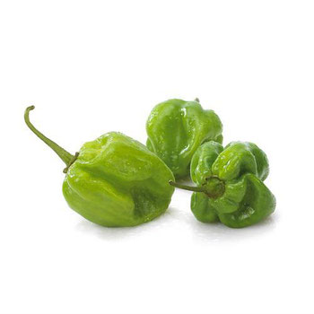 Pimenta Cheiro Kg Ceasa