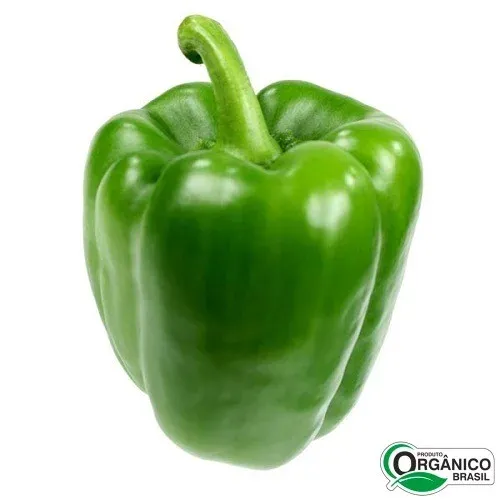 Pimentao Organico Kg