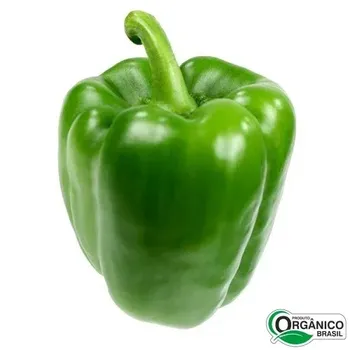 Pimentao Organico Kg