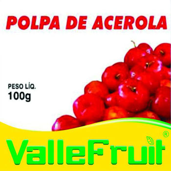 Polpa de Fruta Acerola 100g Valle Fruit