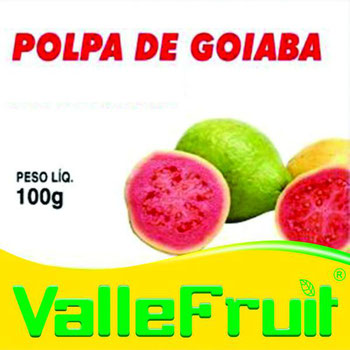 Polpa de Fruta Goiaba 100g Valle Fruit