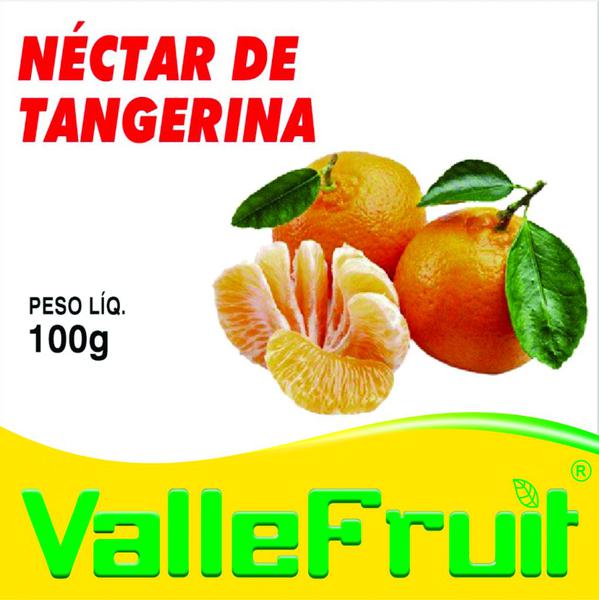 Polpa de Fruta Tangerina 100g Valle Fruit