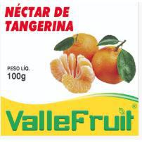 Polpa Fruta Tangerina C/4 400g Valle Fruit