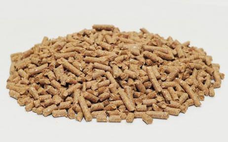 Racao Para Aves 500g Maciel