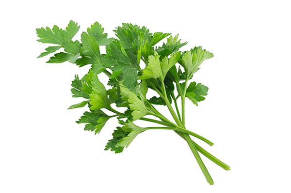 Salsa Un