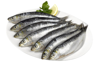 Sardinha Inteira Pct 1kg Cong Dourado
