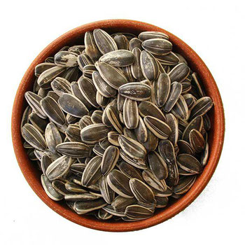 Semente De Girassol 100g Nilnutri