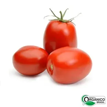 Tomate Organico Kg