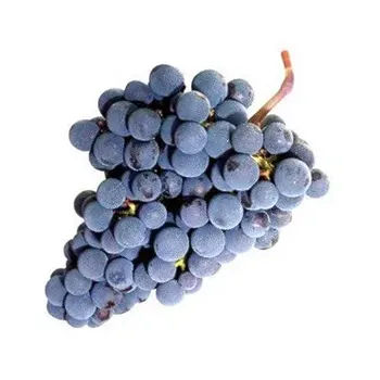Uva Jam Grapes 454g Ceasa
