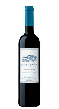 Vinho 750ml Regional Bons Ventos