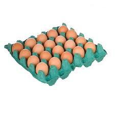 Flv Ovos Becker C/20 Vermelho