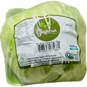 Flv Repolho Baby Gasparin Bdj 300g Sem Agrotoxico