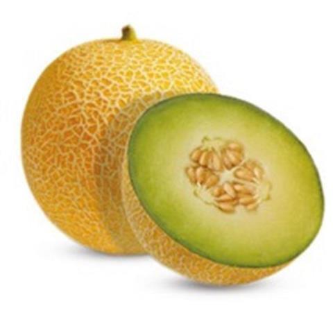 Flv Melao Galia Kg