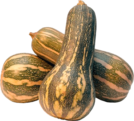 Abobrinha Paulista Kg