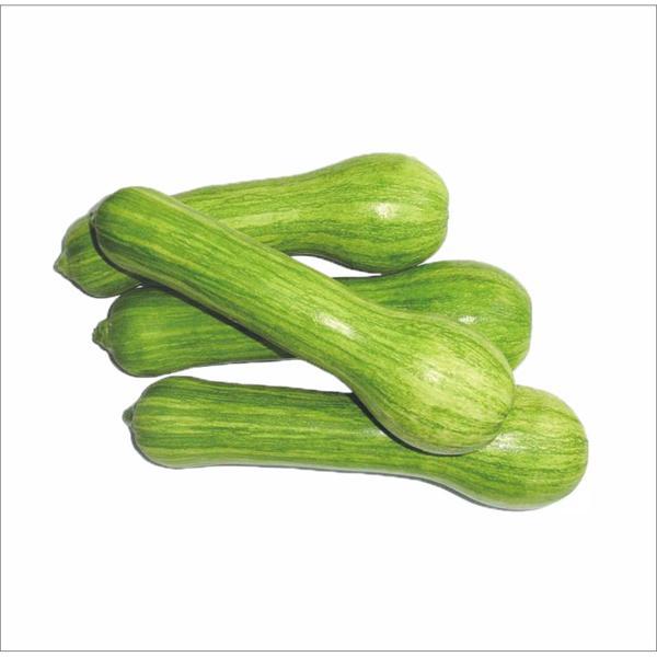 Abobrinha Verde Kg