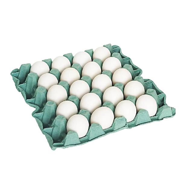 Ovos Campo Verde Extra  20un