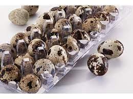 OVOS DE CODORNA BNDJ