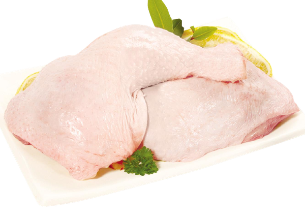 AVE FILE PEITO FRANGO BDJ SEARA