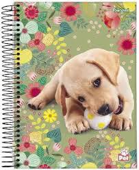 STARSCHOOL CADERNO UNIVERSITARIO CD 10M