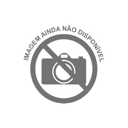 CANJICA DADA BRANCA 500GR un