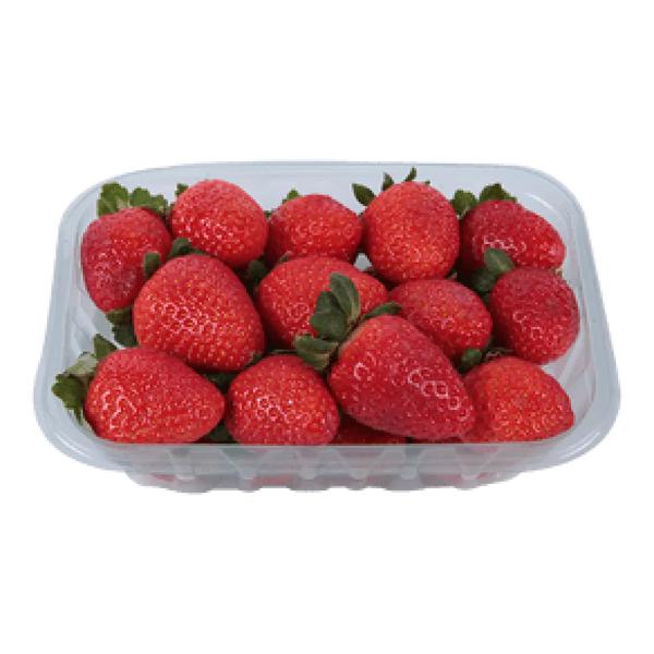 MORANGO BANDEJA UND un