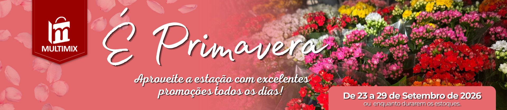 Banner Desktop 1