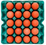 Ovos Gema da Serra Vermelho Tipo A Cartela c/ 20un