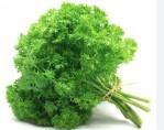Salsa Crespa 