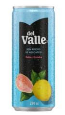 Suco Del Valle Lata Tradicional 290ml Goiaba