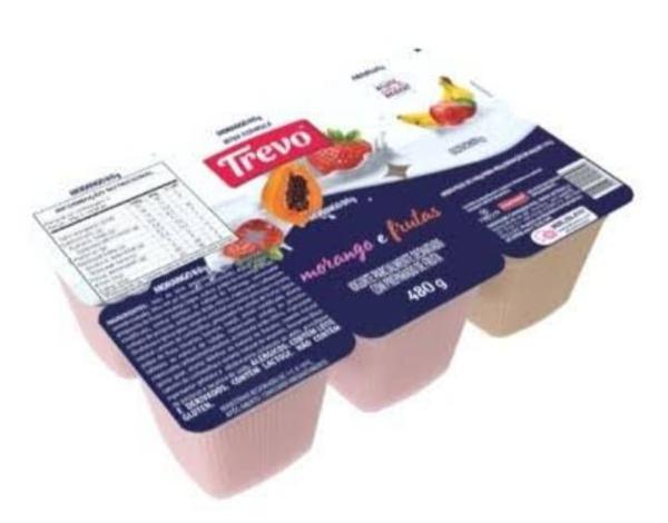 IOGURTE TREVO MOR/FRUTAS 480G