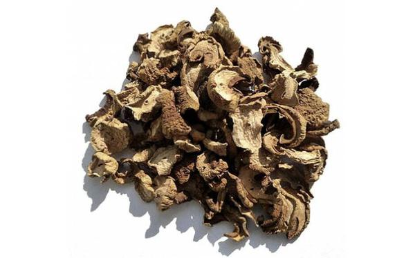 FUNGHI SECO CHILENO KG