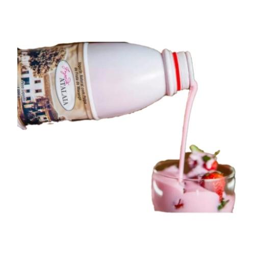 IOGURTE MORANGO ATALAIA 1L