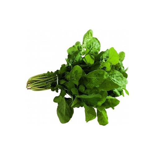 RÚCULA BALCÃO VERDE UND