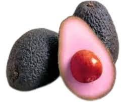 ABACATE KG AVOCADO