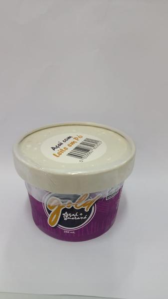 ACAI GOLD 250ML LEITE PO