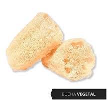 BUCHA VEGETAL LV3 PG2 SLIM