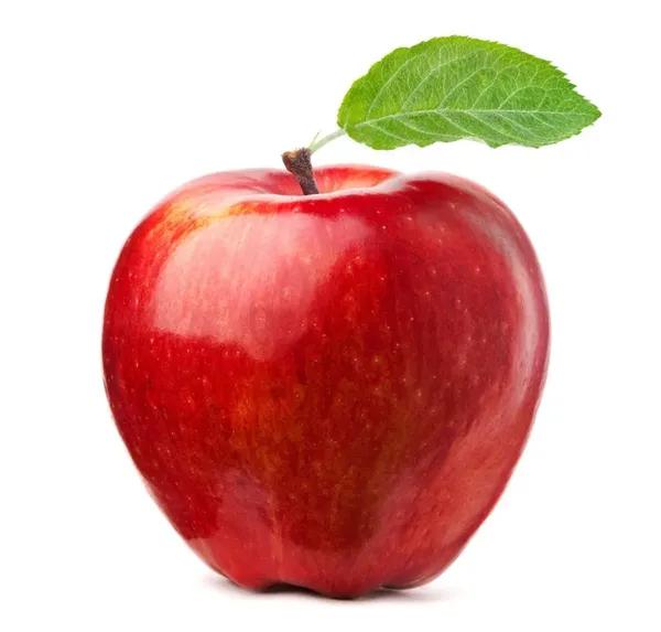 MACA RED ITALIA KG