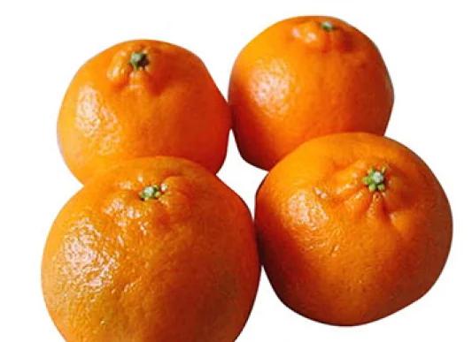 TANGERINA CRAVO B REDINHA KG