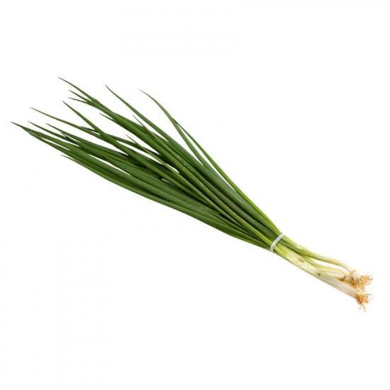 CEBOLINHA UND