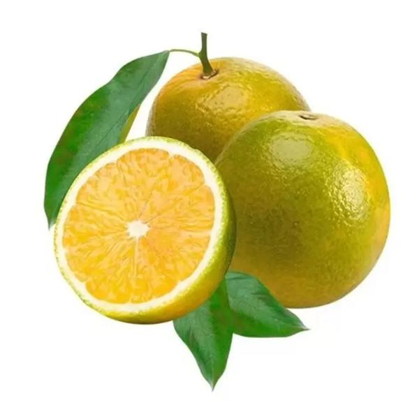 LARANJA PERA KG