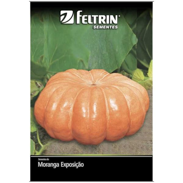 MORANGA EXPOSICAO FELTRIN 625G