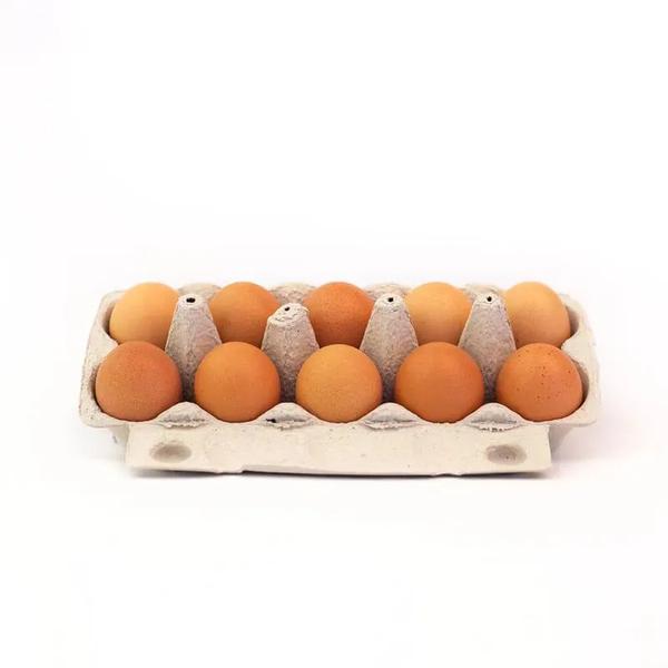 OVOS VERMELHO G FILADELFIA 10UND