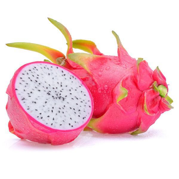 PITAYA KG