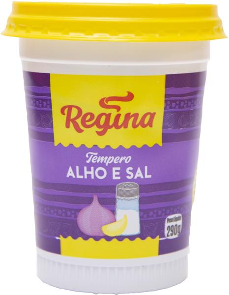 TEMPERO COMPLETO REGINA ALHO E SAL 290G