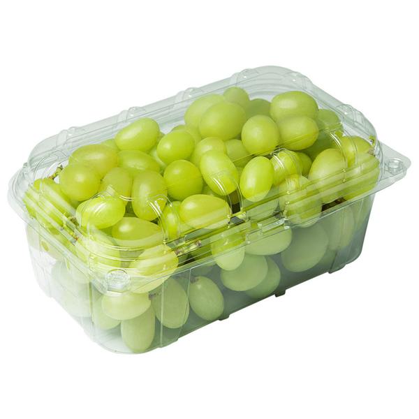 UVA THOMPSON FRUT FRIOS BAND 500G